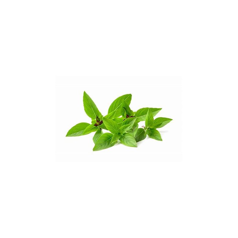 Herbier "les asiatiques"