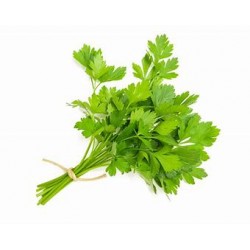 Herbier "les asiatiques"