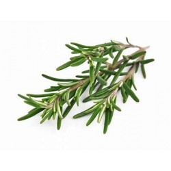 Herbier "les provençales"