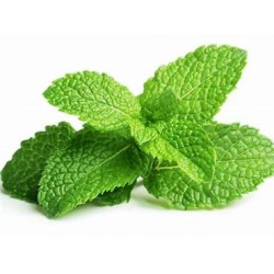 Herbier "les infusions"