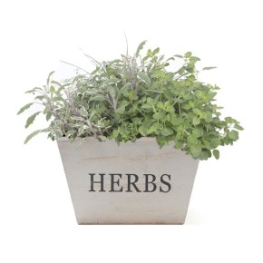 Herbier "les essentielles"