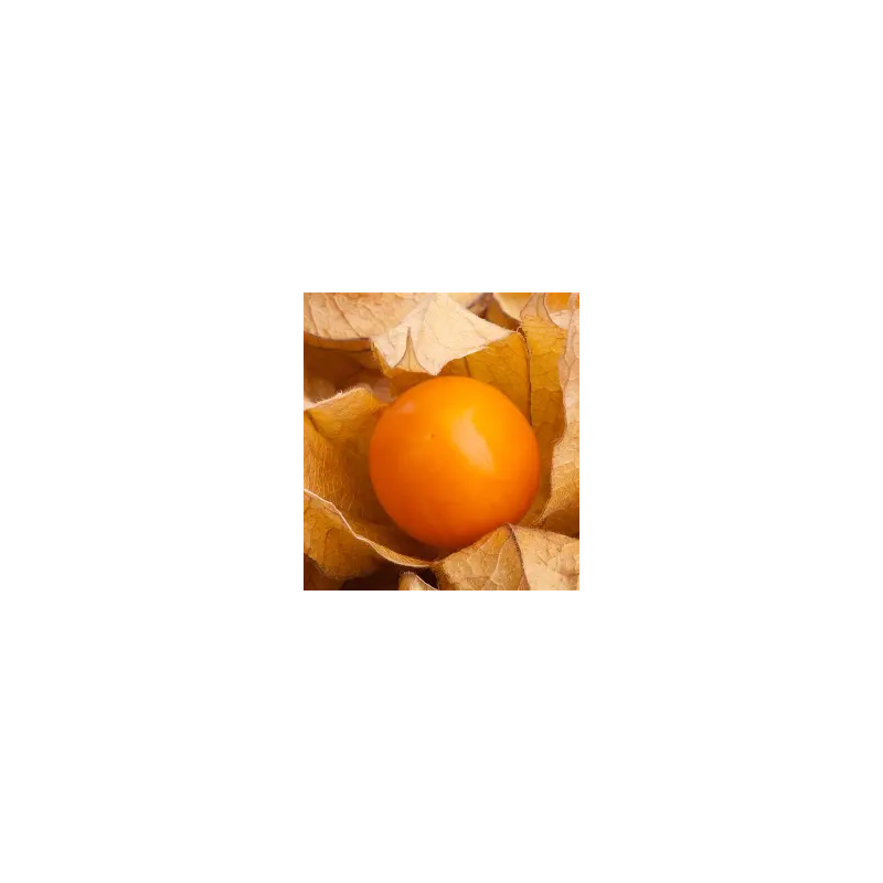 Cerises de Terre Géantes