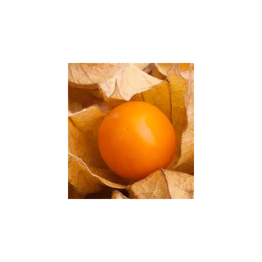 Cerises de Terre Géantes