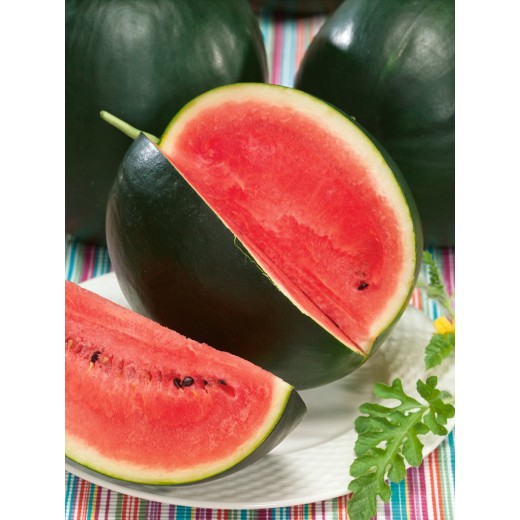 Sugar Baby Melon d'eau Moyen