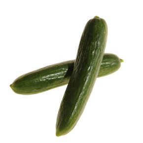 Mercury Concombre Libannais