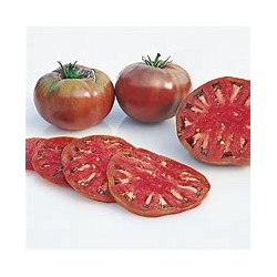 Tomate Mauve (indéterminé)